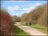 Pennington Flash