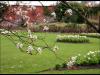 The walled gardens at Haigh Hall