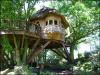 Tree House