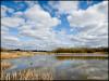 Bickershaw Country Park