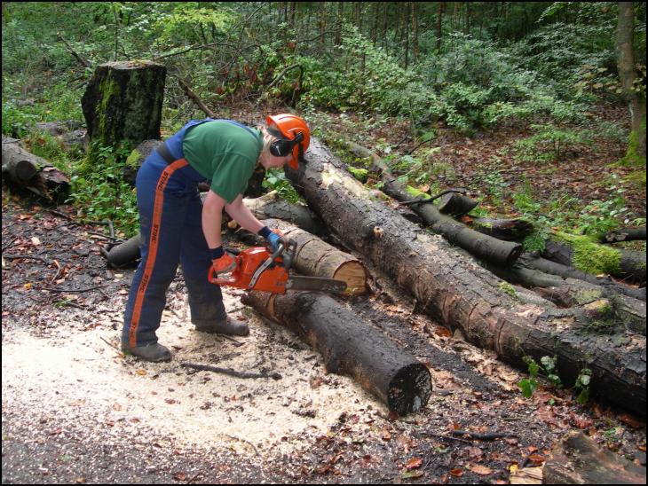 Tree cuttting