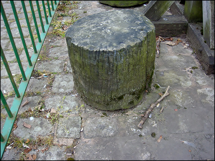 Petrified tree stump