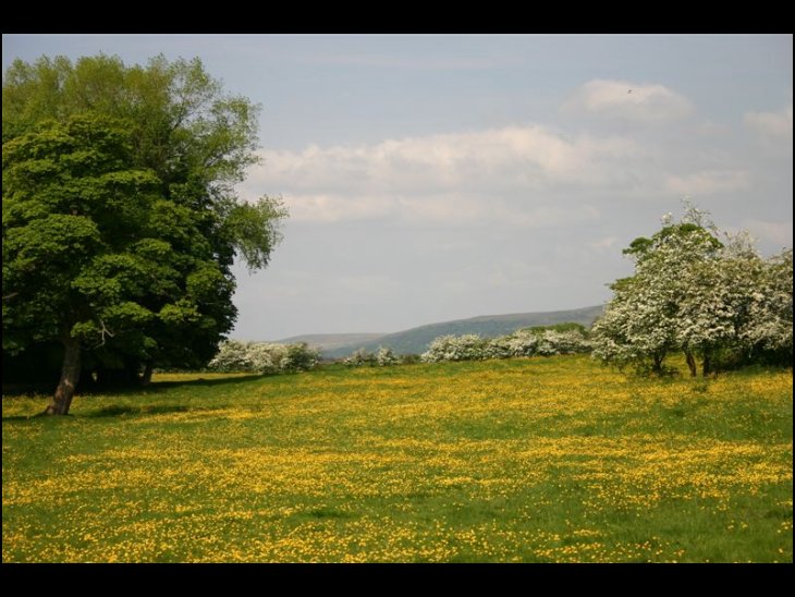 West Pennines