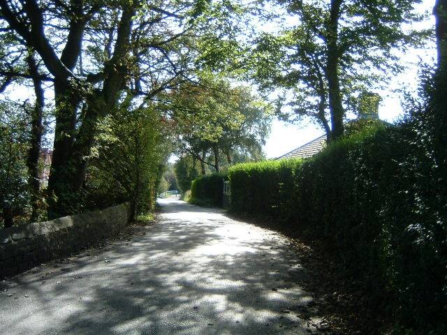 Beech Walks, Standish