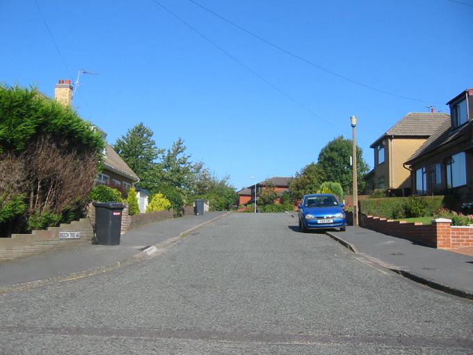 Beech Tree Avenue, Appley Bridge