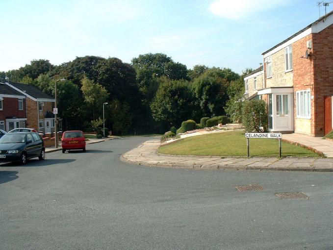 Celandine Walk, Wigan