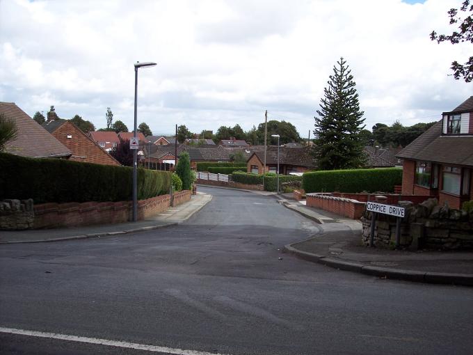 Coppice Drive, Billinge