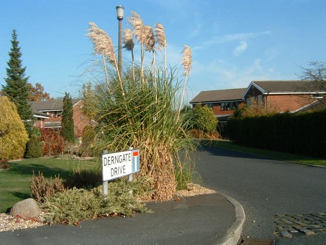 Derngate Drive, Standish