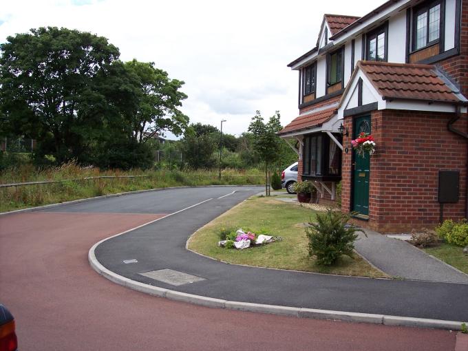 Dawlish Way, Golborne