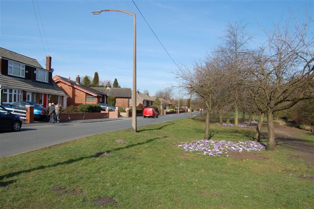 Danes Avenue, Hindley