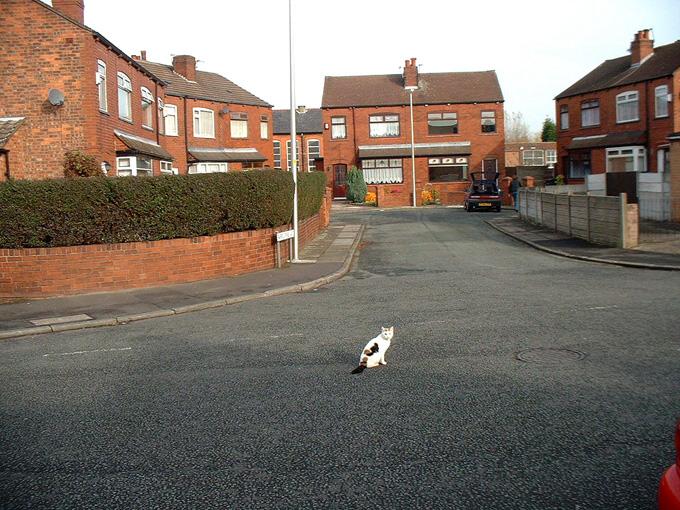 Fairbourne Avenue, Wigan