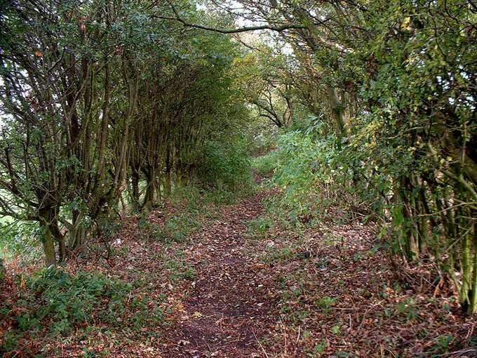 Green's Lane, Orrell