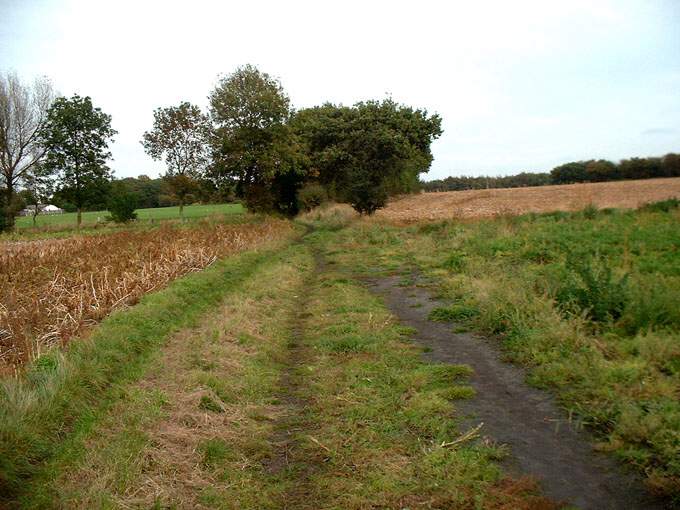 Green's Lane, Orrell