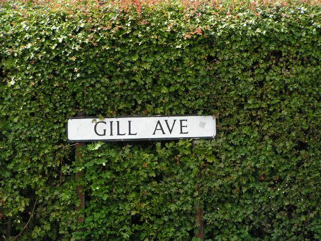 Gill Avenue, Shevington
