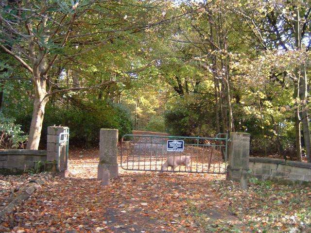 Hall Lane, Wigan