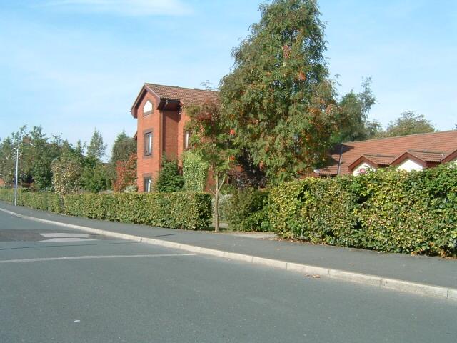 Kingshill Court, Standish