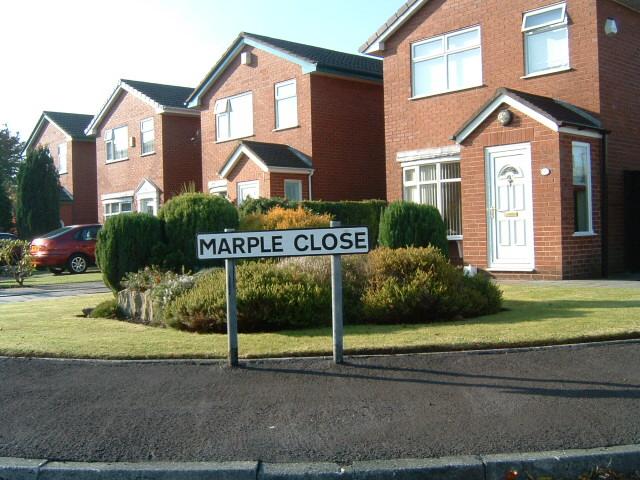 Marple Close, Standish