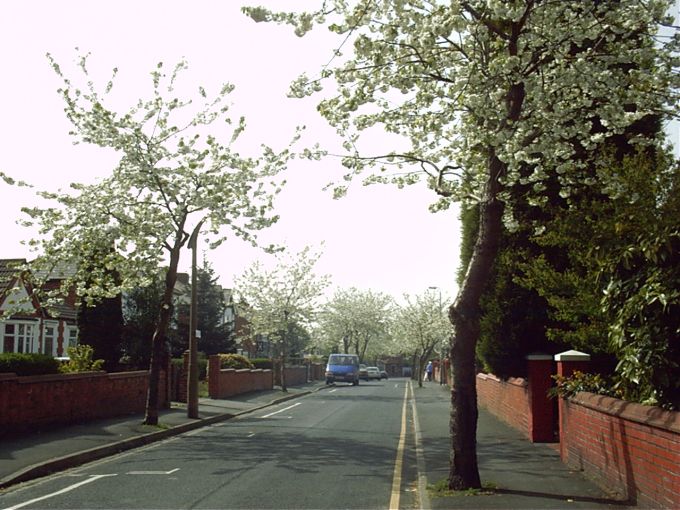 Milton Grove, Wigan