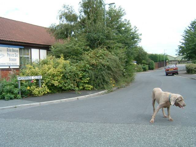 Moorings Close, Ince