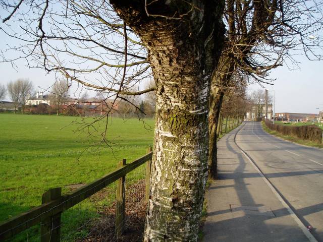 Park Road, Hindley