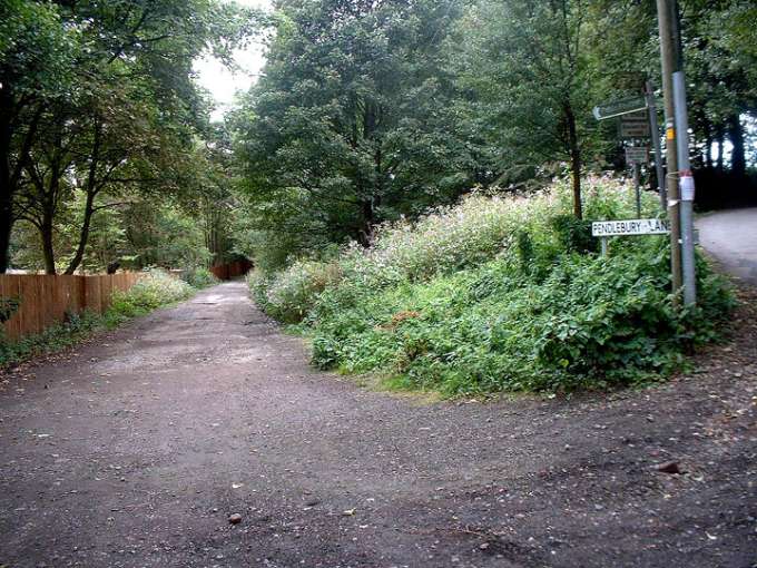 Pendlebury Lane, Haigh