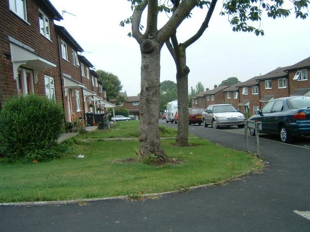 Taberner Close, Standish