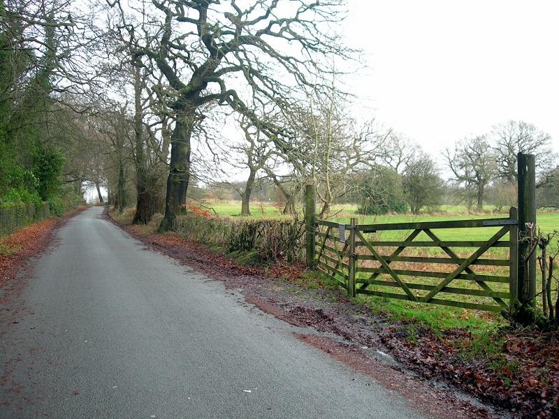 New Road, Haigh