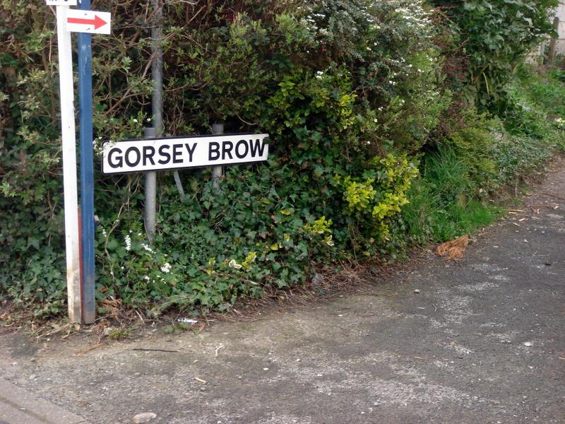 Gorsey Brow, Standish