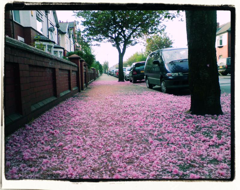 Swinley Lane, Wigan