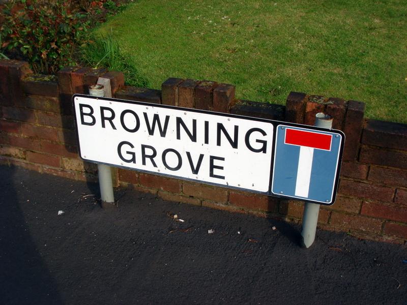 Browning Grove, Standish Lower Ground