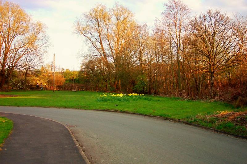 Albion Drive, Aspull