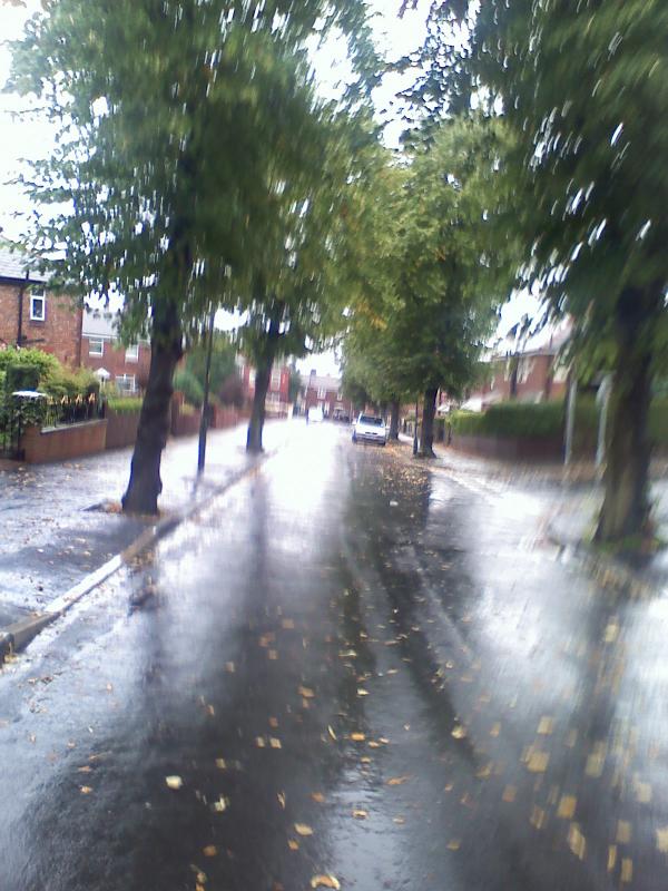 Larch Avenue, Wigan