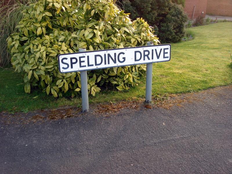 Spielding Drive, Standish Lower Ground