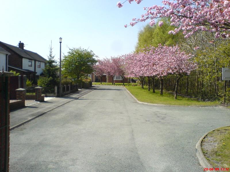 Victoria Avenue, Bickershaw