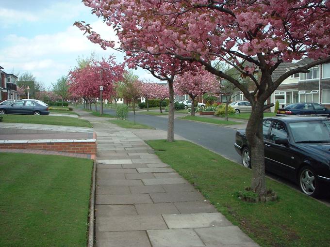 Welbeck Road, Ashton-in-Makerfield