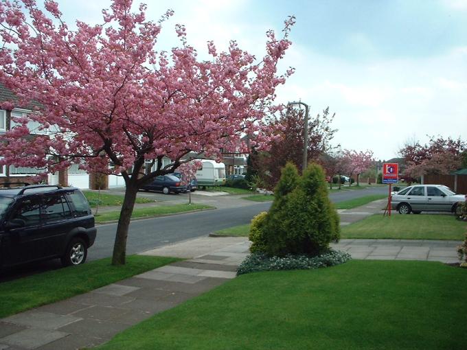 Welbeck Road, Ashton-in-Makerfield