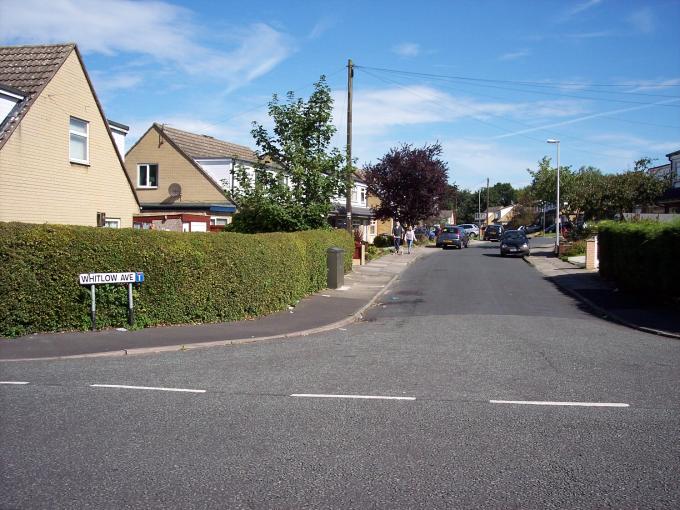 Whitlow Avenue, Golborne