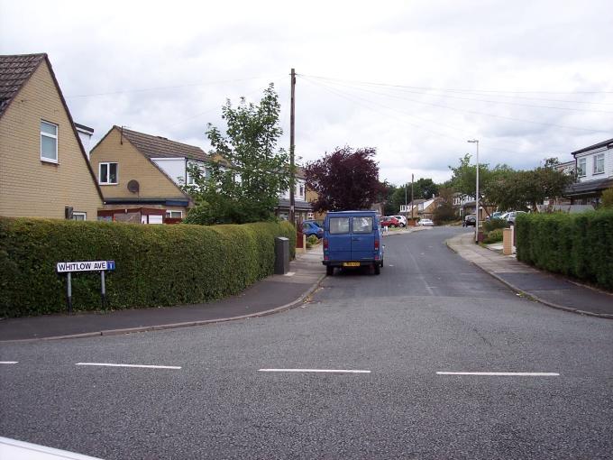 Whitlow Avenue, Golborne