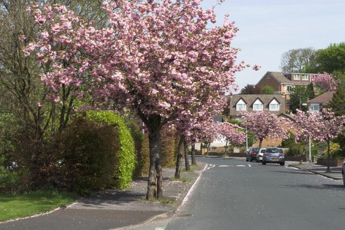 Whitley Crescent, Wigan