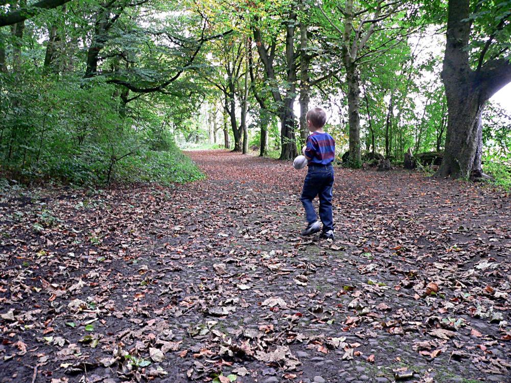 autumn walk