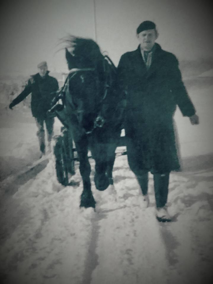 Ken Greenway delivering milk with his horse and cart.